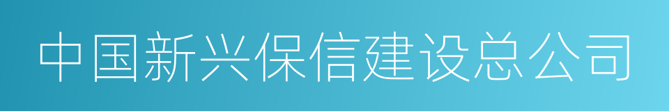 中国新兴保信建设总公司的同义词