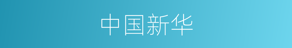 中国新华的同义词