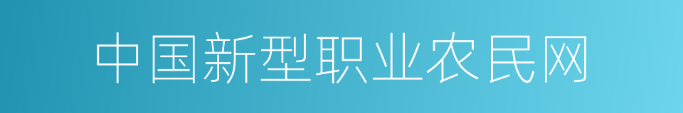 中国新型职业农民网的同义词