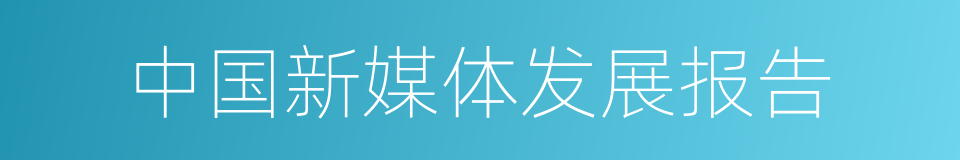 中国新媒体发展报告的同义词