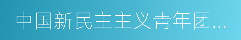 中国新民主主义青年团第一次全国代表大会的同义词