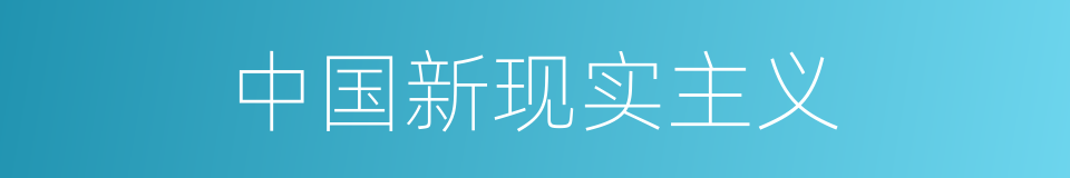 中国新现实主义的同义词