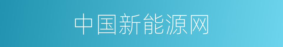 中国新能源网的同义词
