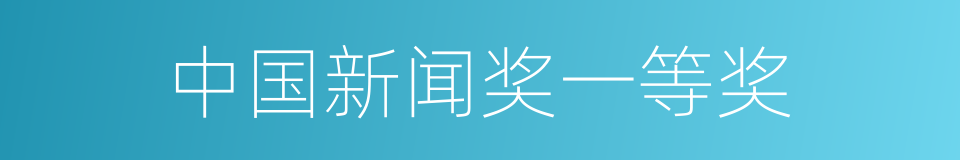 中国新闻奖一等奖的同义词