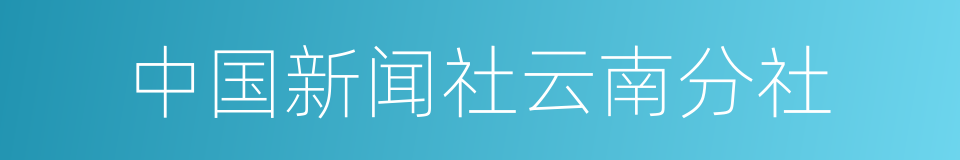 中国新闻社云南分社的意思