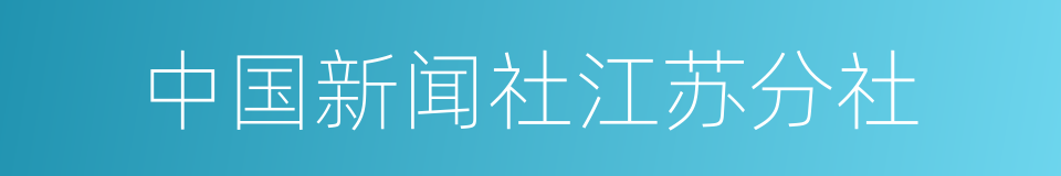 中国新闻社江苏分社的同义词