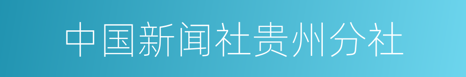 中国新闻社贵州分社的同义词