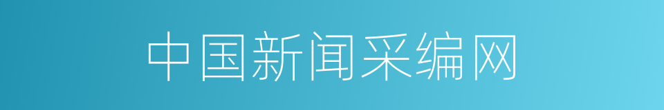 中国新闻采编网的同义词