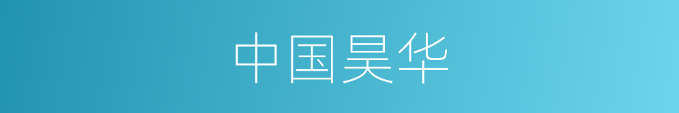 中国昊华的同义词