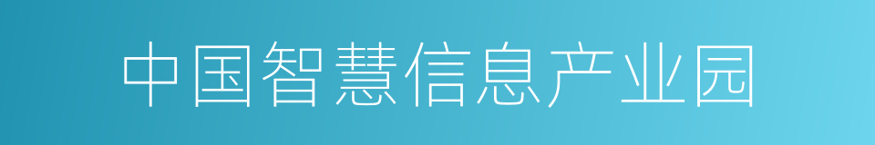 中国智慧信息产业园的同义词