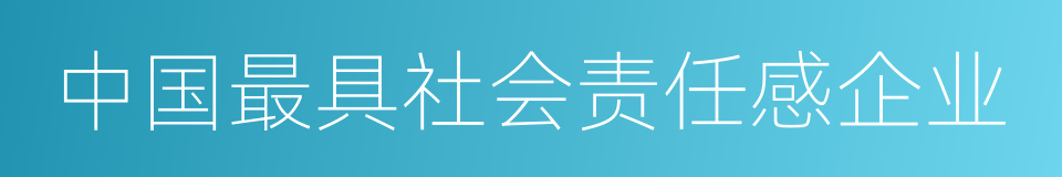 中国最具社会责任感企业的同义词