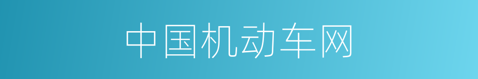 中国机动车网的同义词