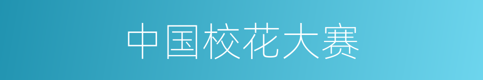 中国校花大赛的同义词