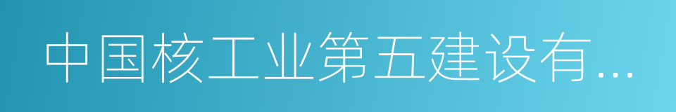 中国核工业第五建设有限公司的同义词