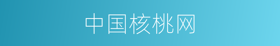 中国核桃网的同义词