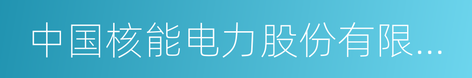 中国核能电力股份有限公司的同义词