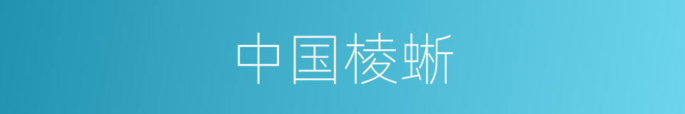 中国棱蜥的同义词