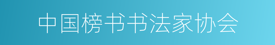 中国榜书书法家协会的同义词