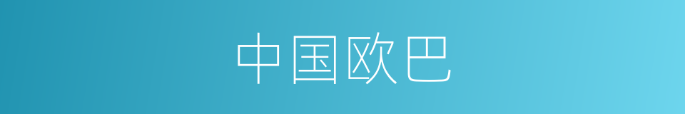 中国欧巴的同义词