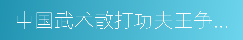 中国武术散打功夫王争霸赛的同义词