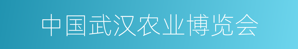 中国武汉农业博览会的同义词