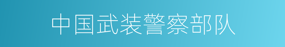 中国武装警察部队的同义词