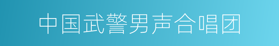 中国武警男声合唱团的同义词