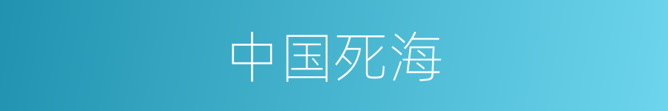 中国死海的同义词