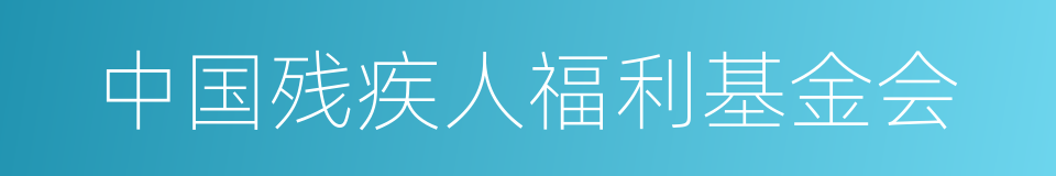 中国残疾人福利基金会的同义词