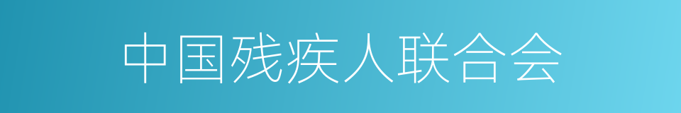 中国残疾人联合会的意思