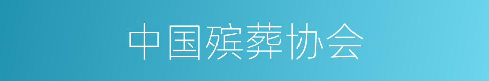 中国殡葬协会的同义词