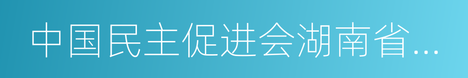 中国民主促进会湖南省委员会的同义词