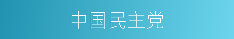 中国民主党的同义词