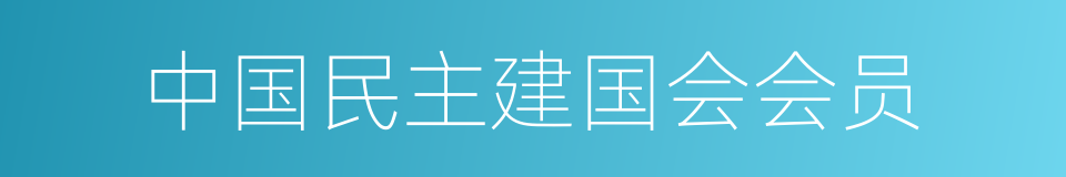 中国民主建国会会员的同义词