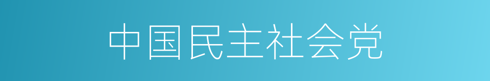 中国民主社会党的同义词