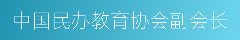 中国民办教育协会副会长的同义词