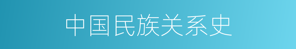 中国民族关系史的同义词