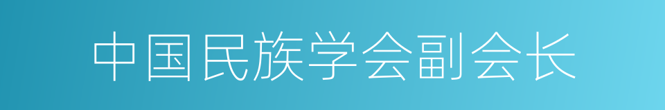 中国民族学会副会长的同义词