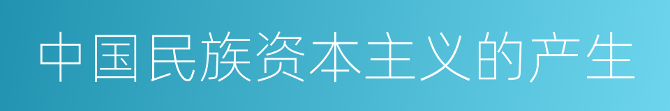 中国民族资本主义的产生的同义词