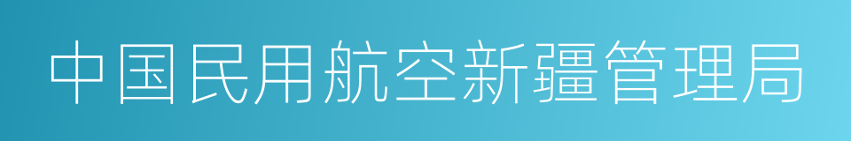 中国民用航空新疆管理局的同义词