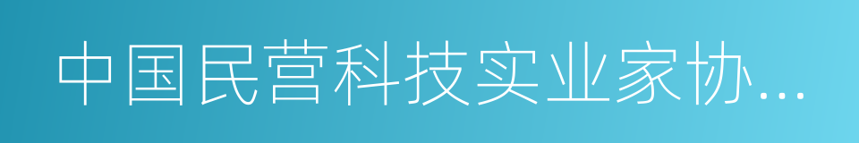 中国民营科技实业家协会常务副理事长的同义词