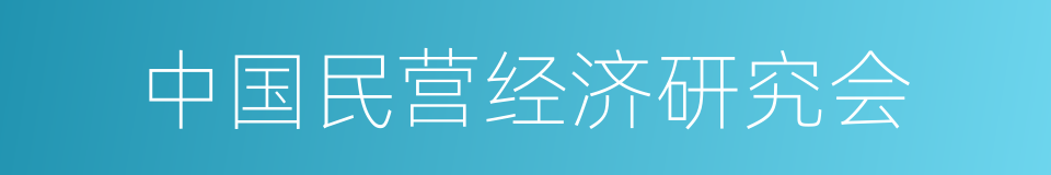 中国民营经济研究会的同义词