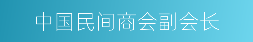 中国民间商会副会长的同义词