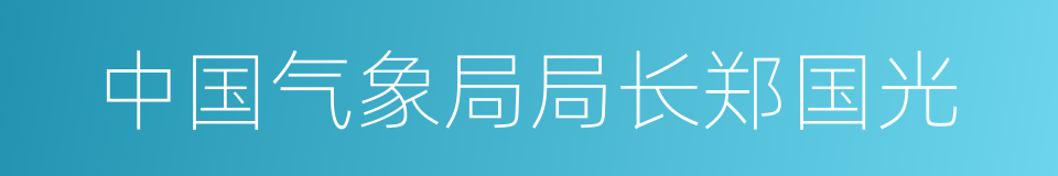 中国气象局局长郑国光的同义词