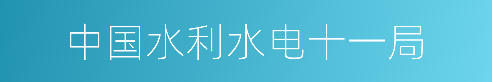 中国水利水电十一局的同义词