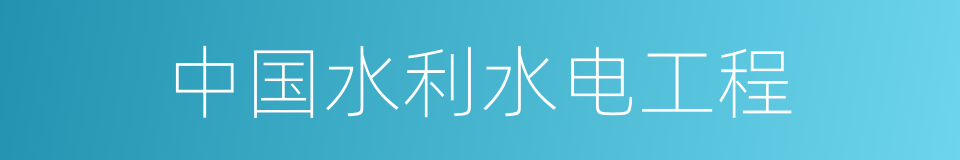 中国水利水电工程的同义词