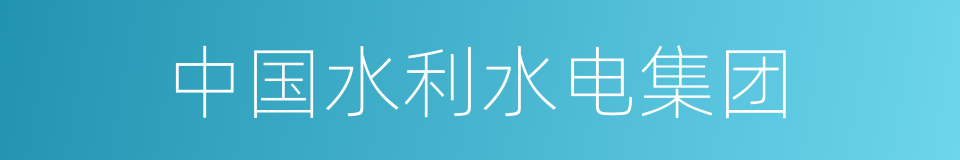 中国水利水电集团的同义词