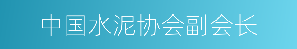 中国水泥协会副会长的同义词