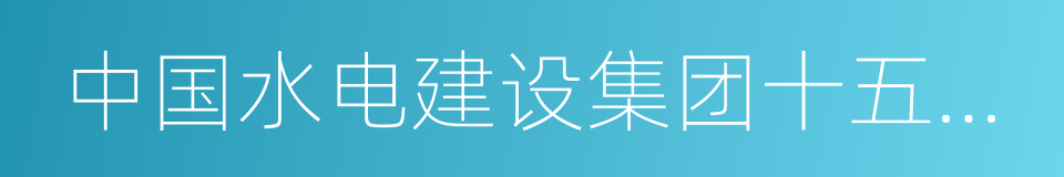 中国水电建设集团十五工程局有限公司的同义词