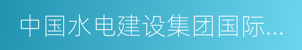 中国水电建设集团国际工程有限公司的同义词